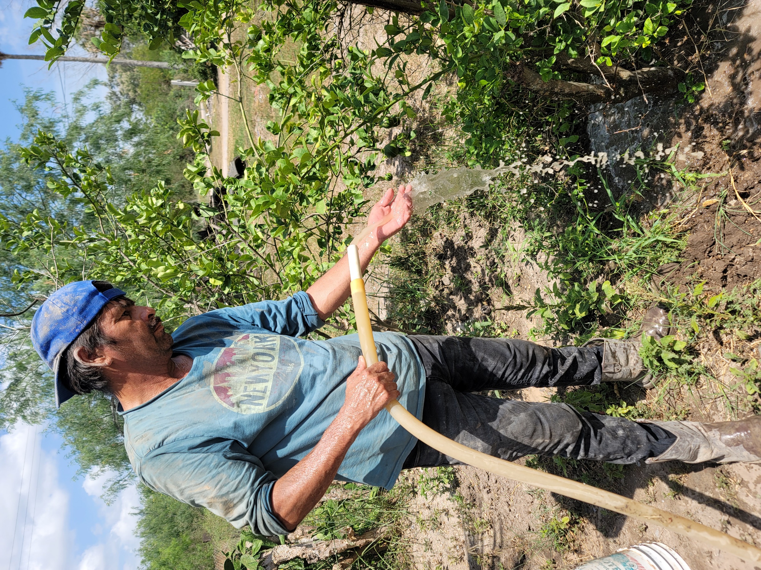 A person watering a garden
AI-generated content may be incorrect.